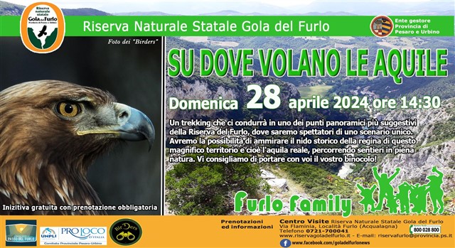 Evento: Sù dove volano le aquile