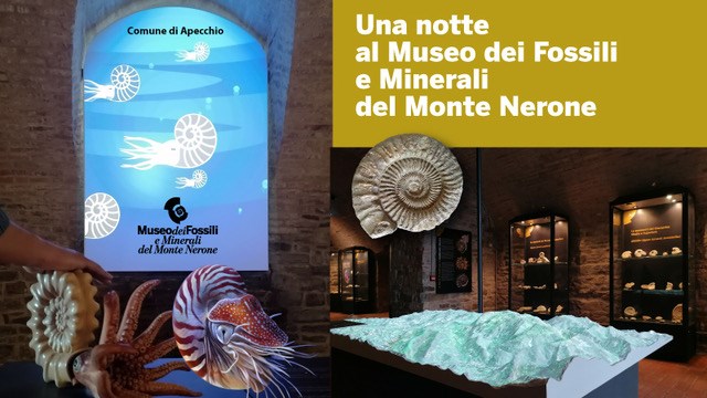 Evento: Notte al Museo dei Fossili e Minerali del Monte Nerone