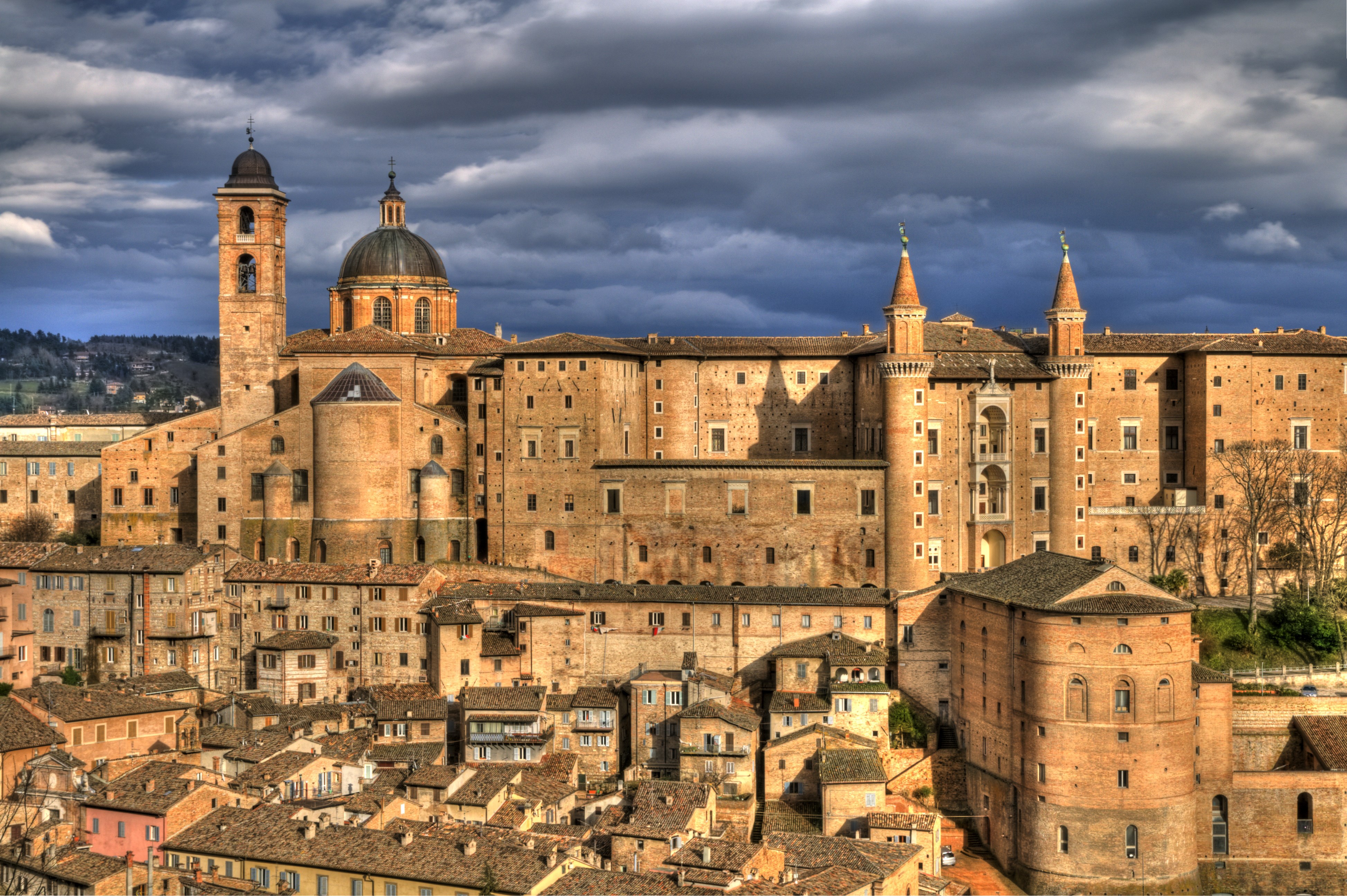 Urbino Incoming sas