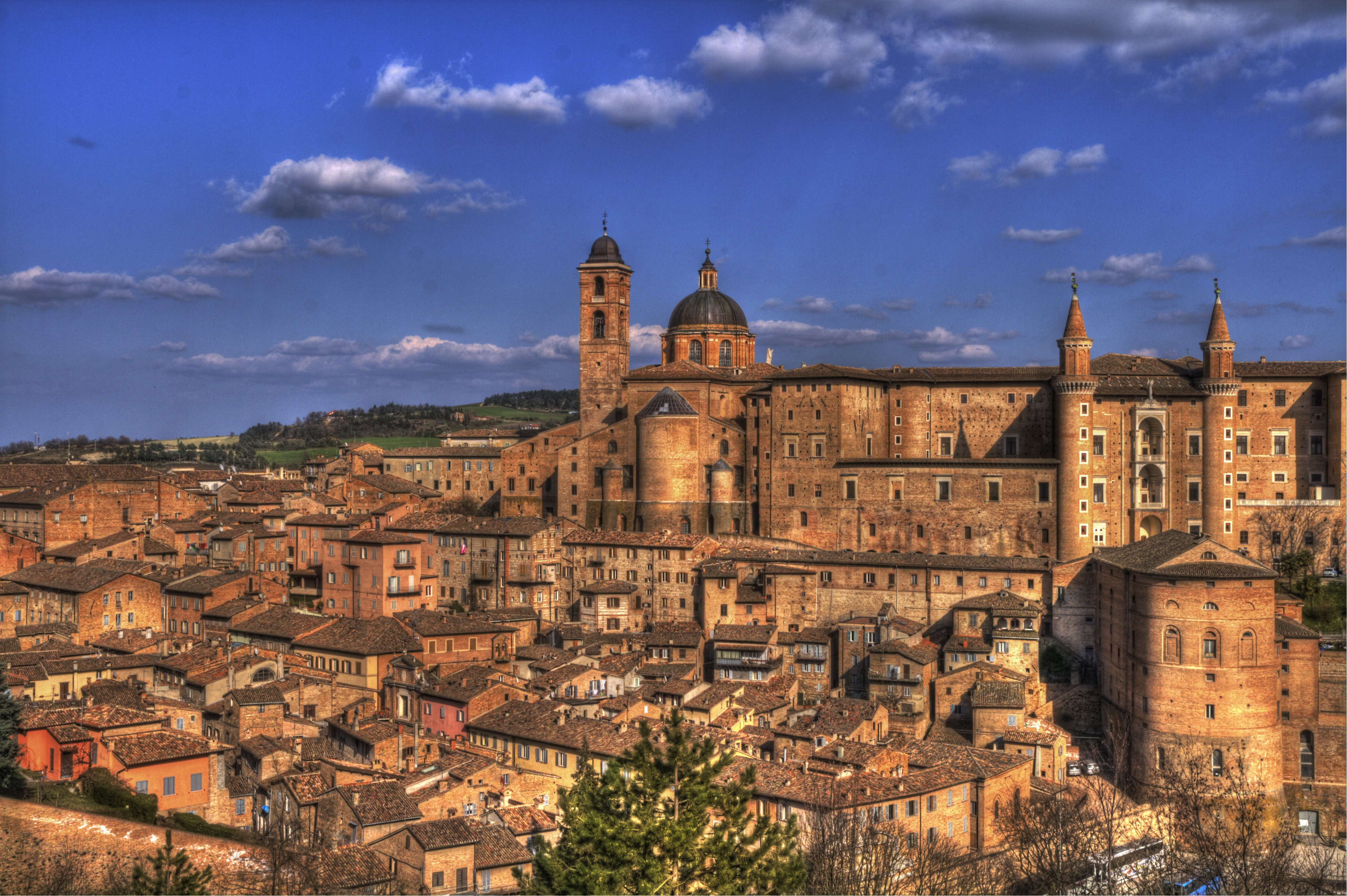 Urbino Incoming sas