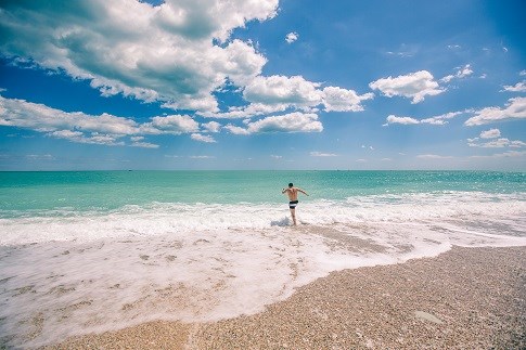 Discover 
                                    Sandy and pebbled beaches